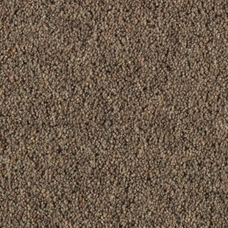 Vermont Orlando carpet by Penthouse Carpets