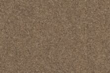 Grange Wilton Otter carpet by Ulster Carpets