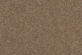 Grange Wilton Otter carpet by Ulster Carpets