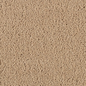 Pentwist Oyster carpet by Penthouse Carpets