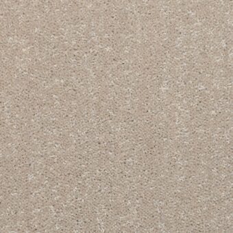 Dimensions Plain Pale Stone carpet by Brockway Carpets