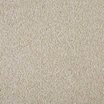 Primo Plus Pannacotta carpet by Cormar Carpets