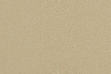 Grange Wilton Pantry carpet by Ulster Carpets
