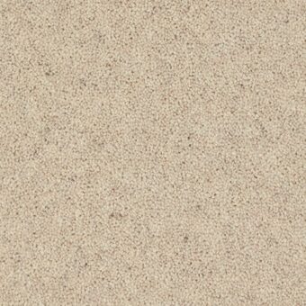 Woodland Heather Twist Papyrus carpet by Cormar Carpets