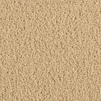 Pentwist Pearl carpet by Penthouse Carpets