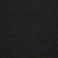Ultima Twist Collection Peat carpet by Westex