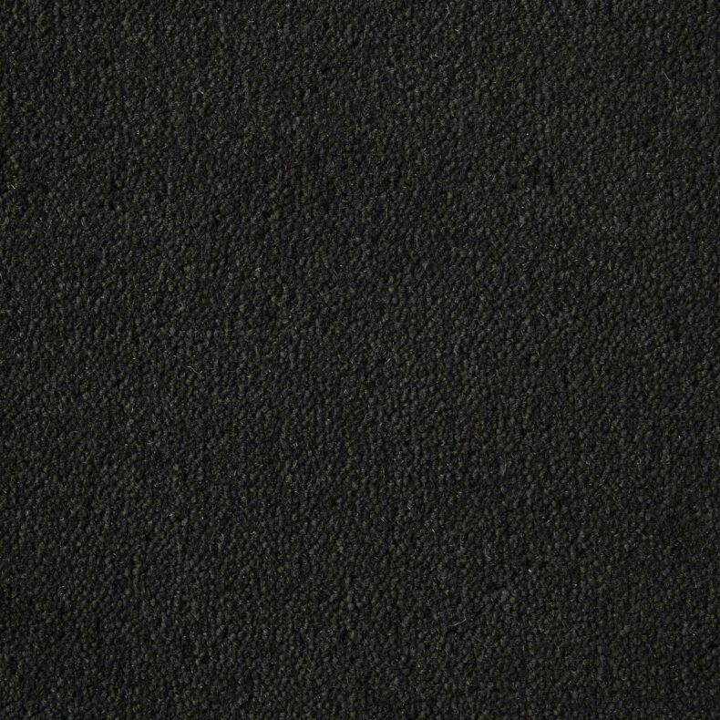 Ultima Twist Collection Peat carpet by Westex