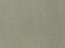 Campeone Collection Cabernet Phantom carpet by ITC