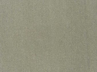 Campeone Collection Cabernet Phantom carpet by ITC