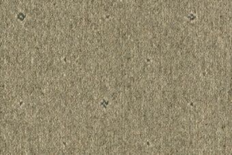 Tazmin Pindot Buckram carpet by Ulster Carpets