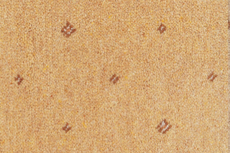 Tazmin Pindot Honey carpet by Ulster Carpets