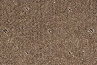 Tazmin Pindot Umber carpet by Ulster Carpets