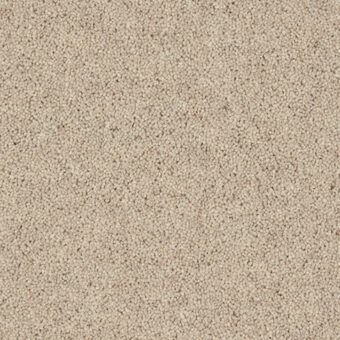 Woodland Heather Twist Pine Nut carpet by Cormar Carpets