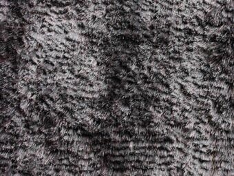 Campeone Collection Singapore Platinum carpet by ITC