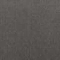 Pure Luxury Collection Platinum carpet by Westex
