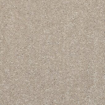 Dimensions Plain Popcorn carpet by Brockway Carpets