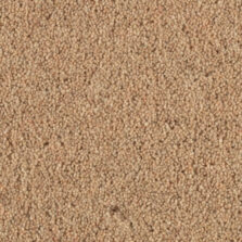 Shoreline Promenade carpet by Penthouse Carpets