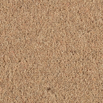 Shoreline Promenade carpet by Penthouse Carpets