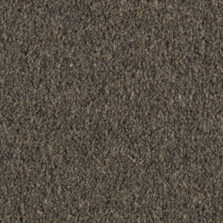 Prism Pumice carpet by Penthouse Carpets