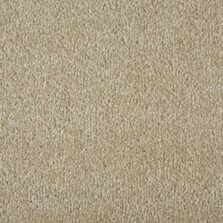 Primo Plus Putty carpet by Cormar Carpets
