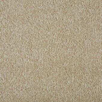 Primo Plus Putty carpet by Cormar Carpets