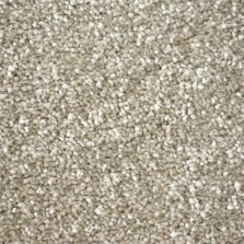 First Impressions Quality carpet by Victoria Carpets