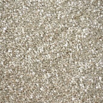 First Impressions Quality carpet by Victoria Carpets