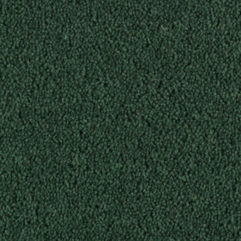 Pentwist Rainforest carpet by Penthouse Carpets