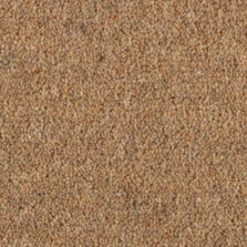Shoreline Reef carpet by Penthouse Carpets