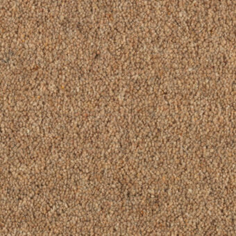 Shoreline Reef carpet by Penthouse Carpets