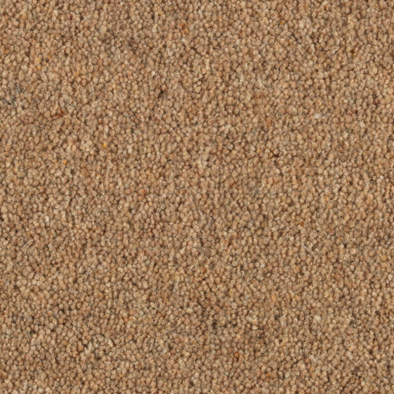 Shoreline Reef carpet by Penthouse Carpets