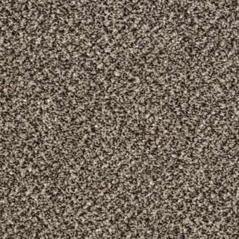 Primo Tweeds Rock Heath carpet by Cormar Carpets
