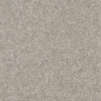 Dimensions Heathers Rockpool Taupe carpet by Brockway Carpets
