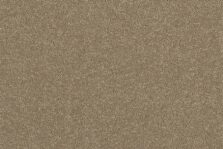 Grange Wilton Romney carpet by Ulster Carpets