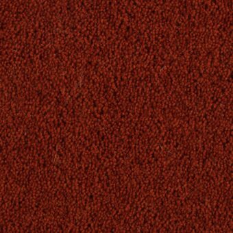 Pentwist Russet carpet by Penthouse Carpets