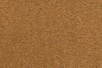 York Wilton Safari carpet by Ulster Carpets