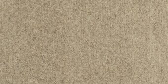 Barefoot Bikram Samsara carpet by Alternative Flooring