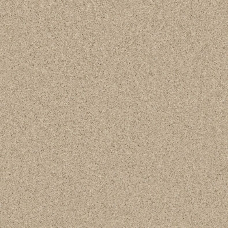 Pembroke Savannah carpet by Cormar Carpets