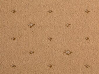 Prince Bishop Sceptre Beige carpet by Hugh Mackay
