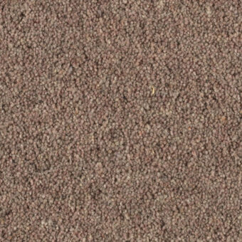 Shoreline Sea Lavender carpet by Penthouse Carpets