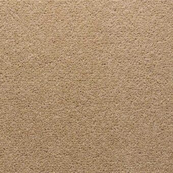 Stateside Seattle carpet by Penthouse Carpets