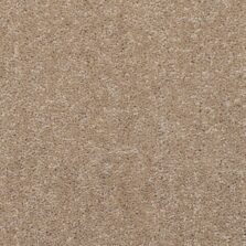 Dimensions Plain Seedhead carpet by Brockway Carpets