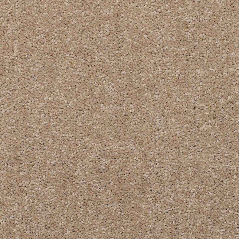 Dimensions Plain Seedhead carpet by Brockway Carpets