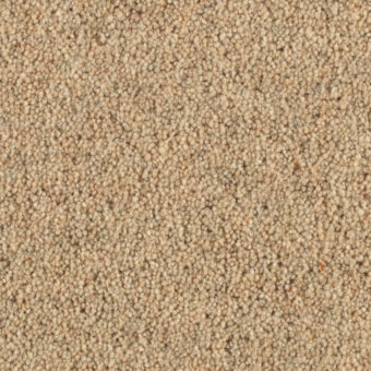 Shoreline Shale carpet by Penthouse Carpets