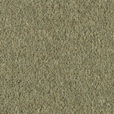 Vermont Shelby carpet by Penthouse Carpets