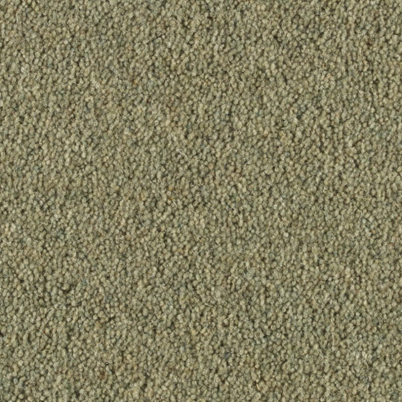 Vermont Shelby carpet by Penthouse Carpets