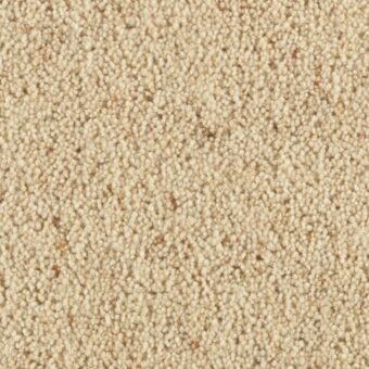Carlton Shortbread carpet by Penthouse Carpets