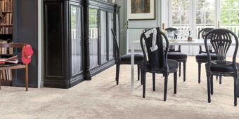 Magnificus Shortbread 31 carpet by Invictus