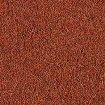 Carlton Sienna carpet by Penthouse Carpets