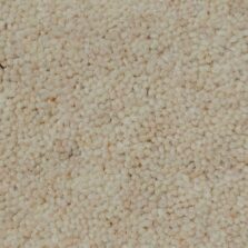 Burford Twist Signet carpet by Victoria Carpets